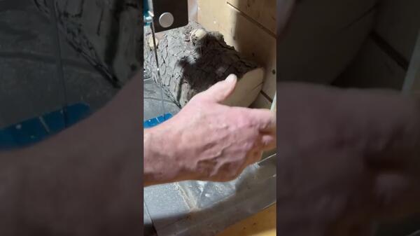 preparation for wood cutting